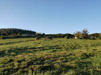 Kariega Wildreservat