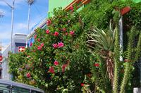 Besuch von Bo-Kaap in Kapstadt