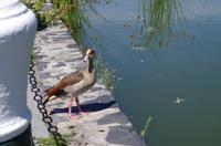 Stadtrundfahrt durch Kapstadt