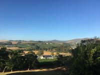Ausblick vom Devon Valley Hotel in Stellenboschin