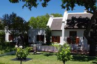 Spaziergang durch Franschhoek