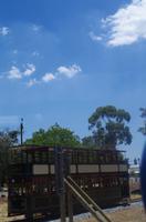 Spaziergang durch Franschhoek