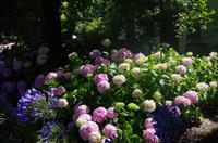 Weinprobe und Mittagessen in Blaauwklippen