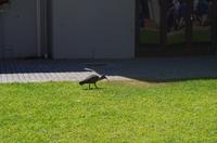 Weinprobe und Mittagessen in Blaauwklippen