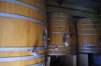 Weinprobe und Mittagessen in Blaauwklippen