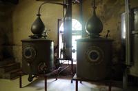 Weinprobe und Mittagessen in Blaauwklippen