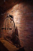 Weinprobe und Mittagessen in Blaauwklippen