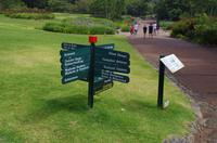 Besuch des Nationalen Botanischen Gartens in Kirstenbosch 