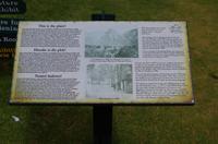 Besuch des Nationalen Botanischen Gartens in Kirstenbosch 