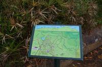 Besuch des Nationalen Botanischen Gartens in Kirstenbosch 