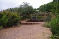 Besuch des Nationalen Botanischen Gartens in Kirstenbosch 