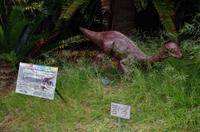 Besuch des Nationalen Botanischen Gartens in Kirstenbosch 