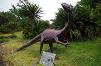 Besuch des Nationalen Botanischen Gartens in Kirstenbosch 