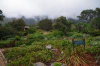 Besuch des Nationalen Botanischen Gartens in Kirstenbosch 
