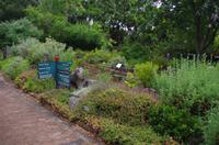 Besuch des Nationalen Botanischen Gartens in Kirstenbosch 