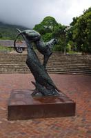 Besuch des Nationalen Botanischen Gartens in Kirstenbosch 