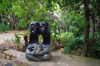 Besuch des Nationalen Botanischen Gartens in Kirstenbosch 