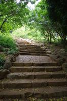 Besuch des Nationalen Botanischen Gartens in Kirstenbosch 