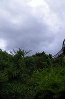 Besuch des Nationalen Botanischen Gartens in Kirstenbosch 