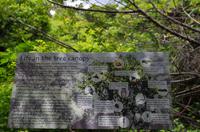 Besuch des Nationalen Botanischen Gartens in Kirstenbosch 