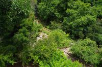 Besuch des Nationalen Botanischen Gartens in Kirstenbosch 