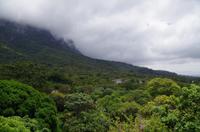 Besuch des Nationalen Botanischen Gartens in Kirstenbosch 