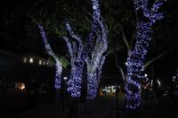 Silvester-Abendessen an der 