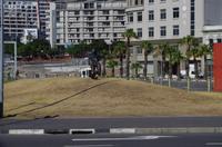 Fahrt zum Tafelberg in Kapstadt