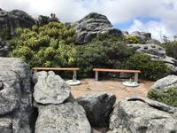 Besuch des Tafelbergs in Kapstadt