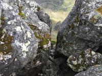 Besuch des Tafelbergs in Kapstadt