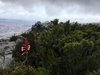 Besuch des Tafelbergs in Kapstadt
