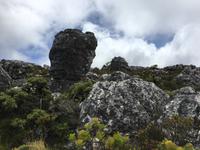 Besuch des Tafelbergs in Kapstadt