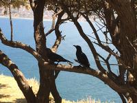 Weiterfahrt via Hout Bay und über die Panoramastraße, der 
