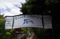 Neujahrsmittagessen im Fischrestaurant Black Marlin