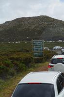 Besuch des Kap der Guten Hoffnung 