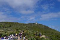 Besuch des Kap der Guten Hoffnung 