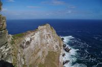 Besuch des Kap der Guten Hoffnung 