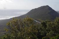 Besuch des Kap der Guten Hoffnung 