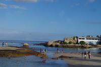 Besuch der Pinguin Kolonie am Boulders 	Beach