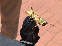 Mittagspause an der Raststätte North Ocean