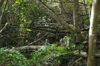 Bootsfahrt auf dem Lake St Lucia