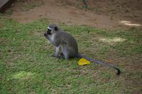 Bootsfahrt auf dem Lake St Lucia
