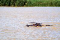 Bootsfahrt auf dem Lake St Lucia