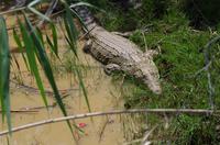 Bootsfahrt auf dem Lake St Lucia