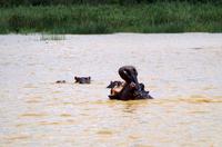 Bootsfahrt auf dem Lake St Lucia