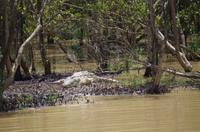 Bootsfahrt auf dem Lake St Lucia