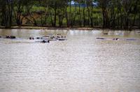 Bootsfahrt auf dem Lake St Lucia