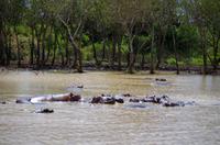 Bootsfahrt auf dem Lake St Lucia