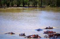 Bootsfahrt auf dem Lake St Lucia