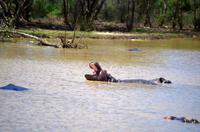 Bootsfahrt auf dem Lake St Lucia